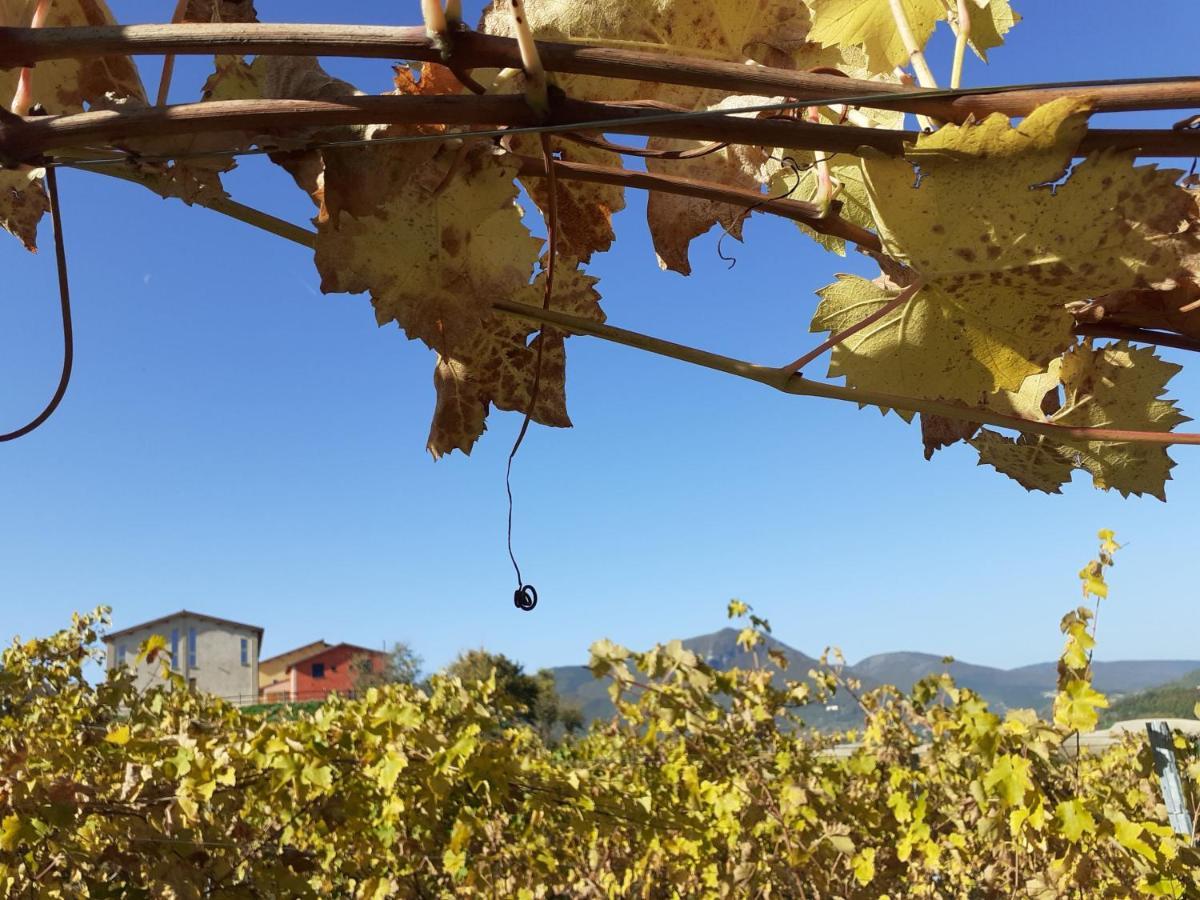 Tenuta Grimaldi Wine Resort Мателика Екстериор снимка