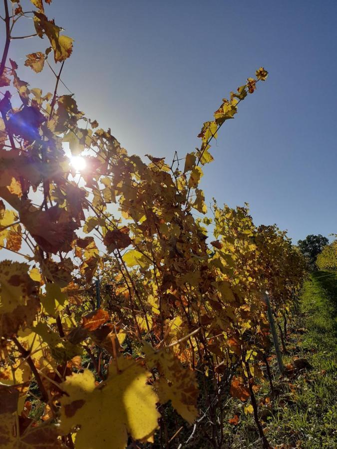 Tenuta Grimaldi Wine Resort Мателика Екстериор снимка