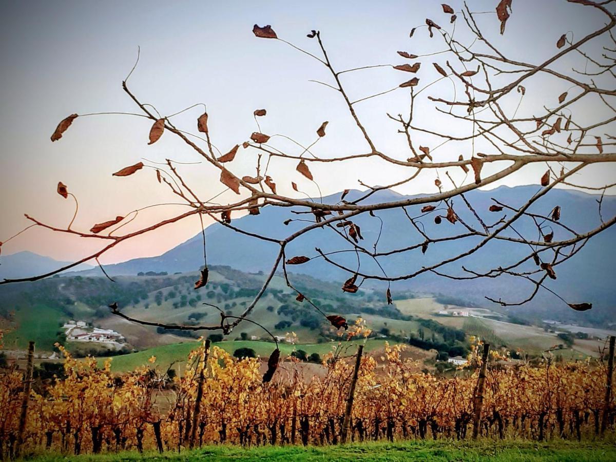 Tenuta Grimaldi Wine Resort Мателика Екстериор снимка