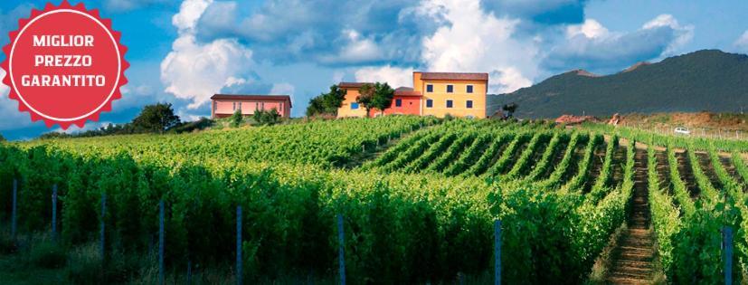 Tenuta Grimaldi Wine Resort Мателика Екстериор снимка